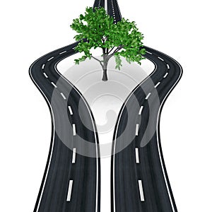 Motorway lanes bypassing a tree