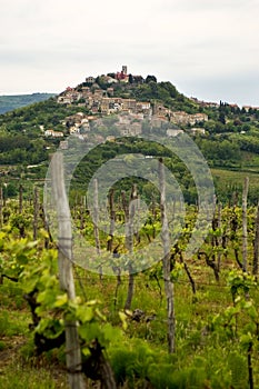 Motovun