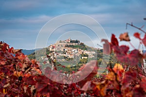 Motovun in fall photo