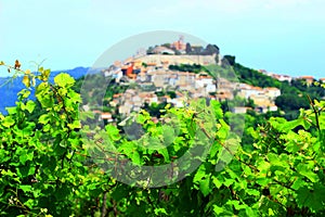 Motovun in Istria, Croatia