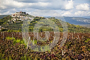 Motovun Montona, a mountain town. Istra.