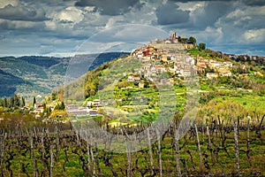 The Motovun, old mediterranean town with the surrounding country