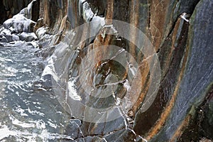 Motta Camastra - Particolare della scogliera di basalto delle Gole dell\'Alcantara photo