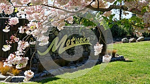 Motueka sign at the entrance to, Motueka, Tasman region, Aotearoa / New Zealand