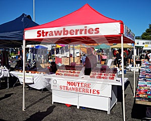 Motueka Sunday market market stall selling fresh local strawberries