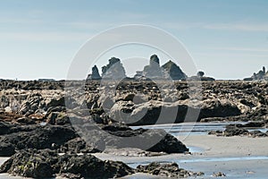 Motukiekie beach on west coast south Island New Zealand