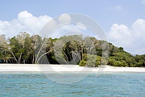 Moucha Masakali Beach, Djibouti, East Africa photo