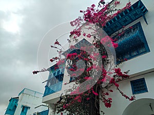 The village of Sidi Bou Said, Carthage, Tunisia photo