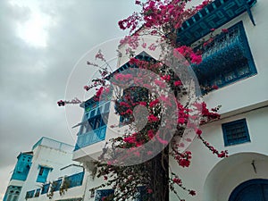 The village of Sidi Bou Said, Carthage, Tunisia photo