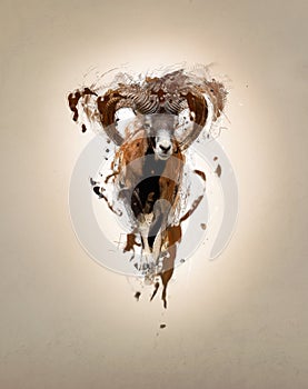 Mouflon, abstract animal concept