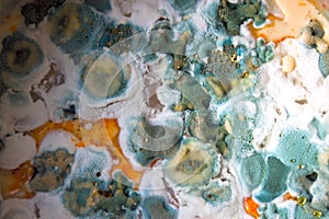 Mould Background