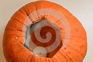 Mould on Halloween pumpkin