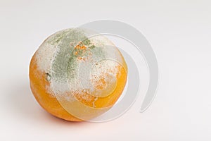 Moulded orange photo