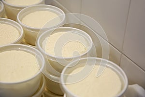 Moulds with pressed cheese near wall at factory