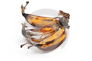 Mouldy Banana on white