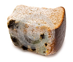 Mouldy bread photo