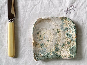 Mouldy Bread