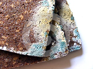 Mouldy bread close up on white background