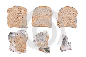 Mouldy bread