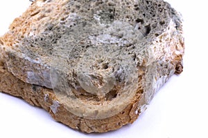 Mouldy bread