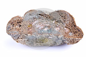 Mouldy bread