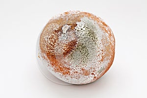 Mouldy orange