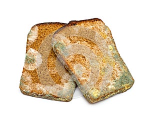 Mouldy rye bread