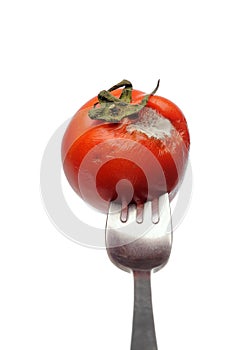 Mouldy Tomato, fruit. vertical