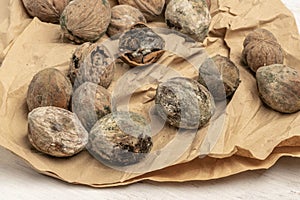 Mouldy unpleasant walnuts as a background