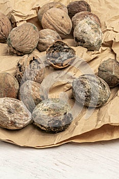 Mouldy unpleasant walnuts as a background