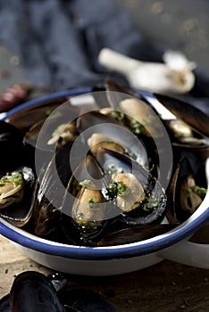 Moules mariniere, a french recipe of mussels