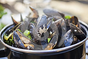 Moules Mariniere Mussels