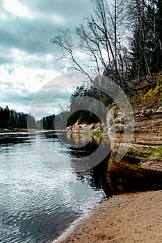 mounain and trees landscape in fores river