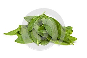 Mound of baby spinach leaves.