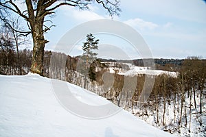 Mound called Buivydu piliakalnis