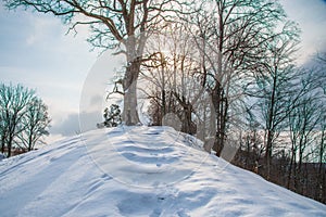 Mound called Buivydu piliakalnis