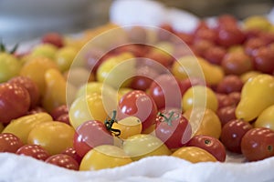 Mound of Cherry Tomatoes on Kitchen Counter