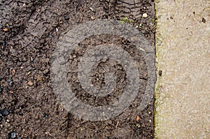 Mound construction. Soil background. Park ground texture with rocks mulch and dirt. Black soil texture. fine texture of brown gra