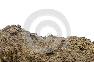 Mound of fertile soil for planting