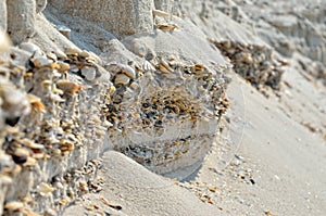 Mound of shells, stones and sand on the seashore