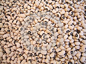 Mound of Soy beans