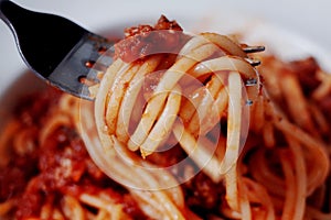 Mound of Spaghetti