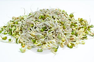 Mound of sprouted mung beans  Vigna radiata with small roots ofor eating. White background. Close up