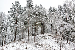Mound in winter view