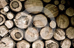 Mound of wood, lumber, timber from mountain forest