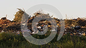 Garbage Creates Artificial Hill photo