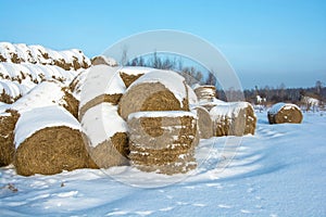 Mounds of hay, covered with snow, in a large pile.