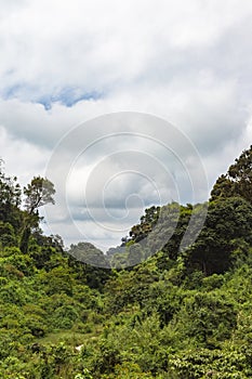 Mount Aberdar in the clouds. Kenya, Africa