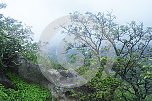 Mount abu in monsoon