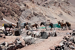 Mount Aconcagua. highest pik of south America